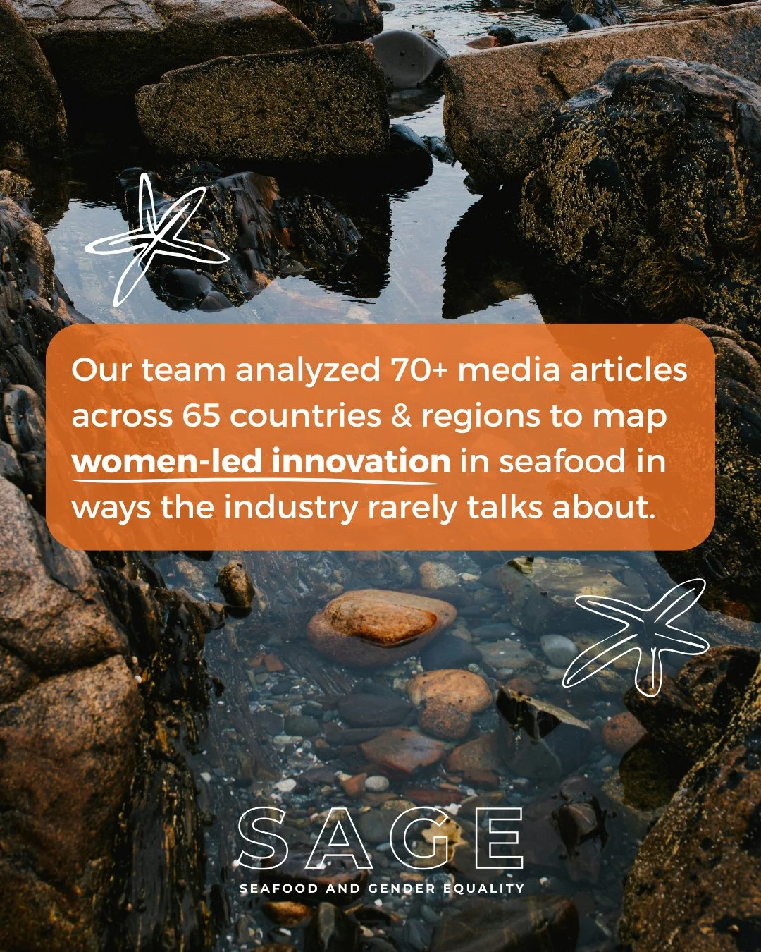 You&rsquo;ve likely heard: &ldquo;Women are innovating the seafood sector.&rdquo; ⁠
⁠
It&rsquo;s something we at SAGE say all the time because it&rsquo;s true! ⁠
⁠
But maybe you&rsquo;re thinking: ⁠
⁠
&ldquo;Sure&hellip;but what does that mean specif