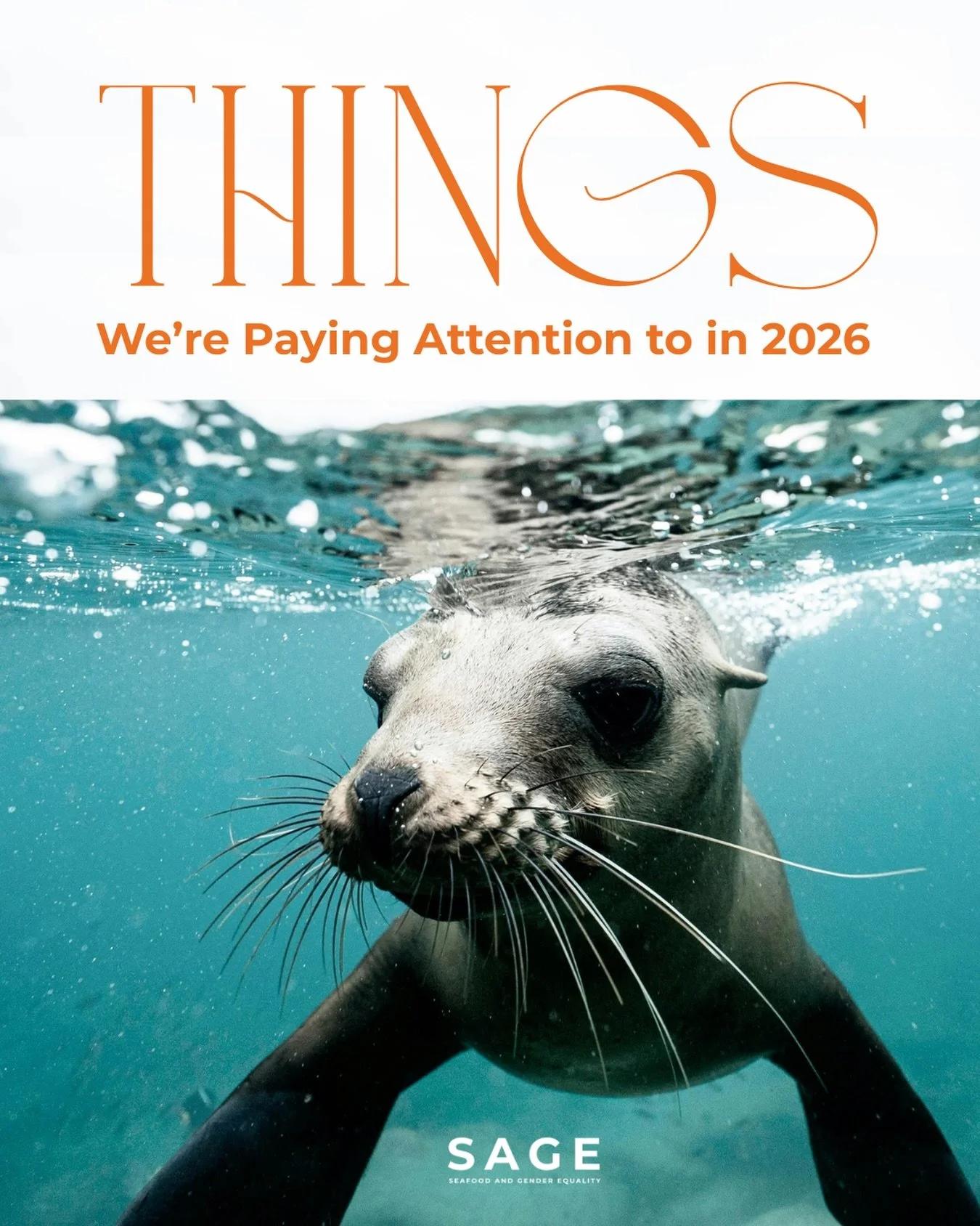 In 2026, we&rsquo;re paying closer attention to what sits UNDERNEATH the surface. 🦭 

We keep seeing the same patterns repeat, even in spaces that say they care about equality. 

🔸 Research and data gaps around women and genderqueer people in seafo