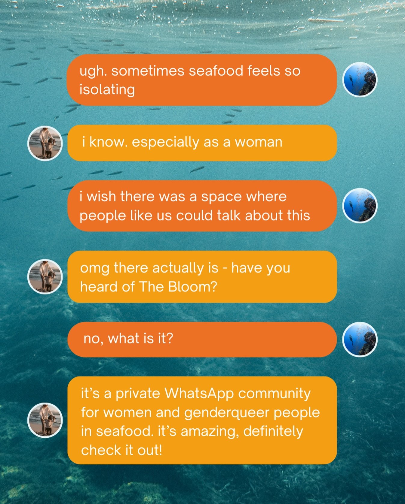 𝗧𝗛𝗘 𝗕𝗟𝗢𝗢𝗠 is a private WhatsApp community for women and genderqueer people working across the seafood sector 🐟✨

It&rsquo;s kind of like a virtual water cooler, where a bunch of amazing people hang out and talk about things like:

🎟️ figuri