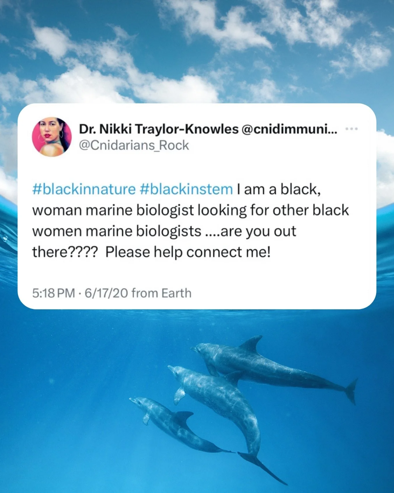 Never underestimate the power of a single tweet to find your people. 

Dr. Nikki Traylor-Knowles posted this in 2020 and ended up founding Black Women in Ecology, Evolution, and Marine Science (@Official_BWEEMS), a global non-profit increasing the re