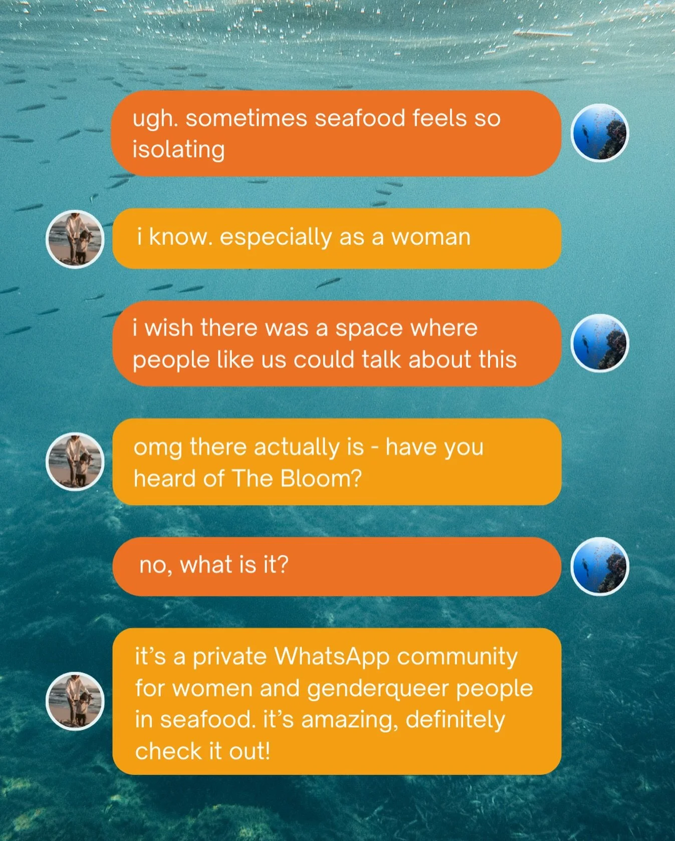 𝗧𝗛𝗘 𝗕𝗟𝗢𝗢𝗠 is a private WhatsApp community for women and genderqueer people working across the seafood sector 🐟✨

It&rsquo;s kind of like a virtual water cooler, where a bunch of amazing people hang out and talk about things like:

🎟️ figuri