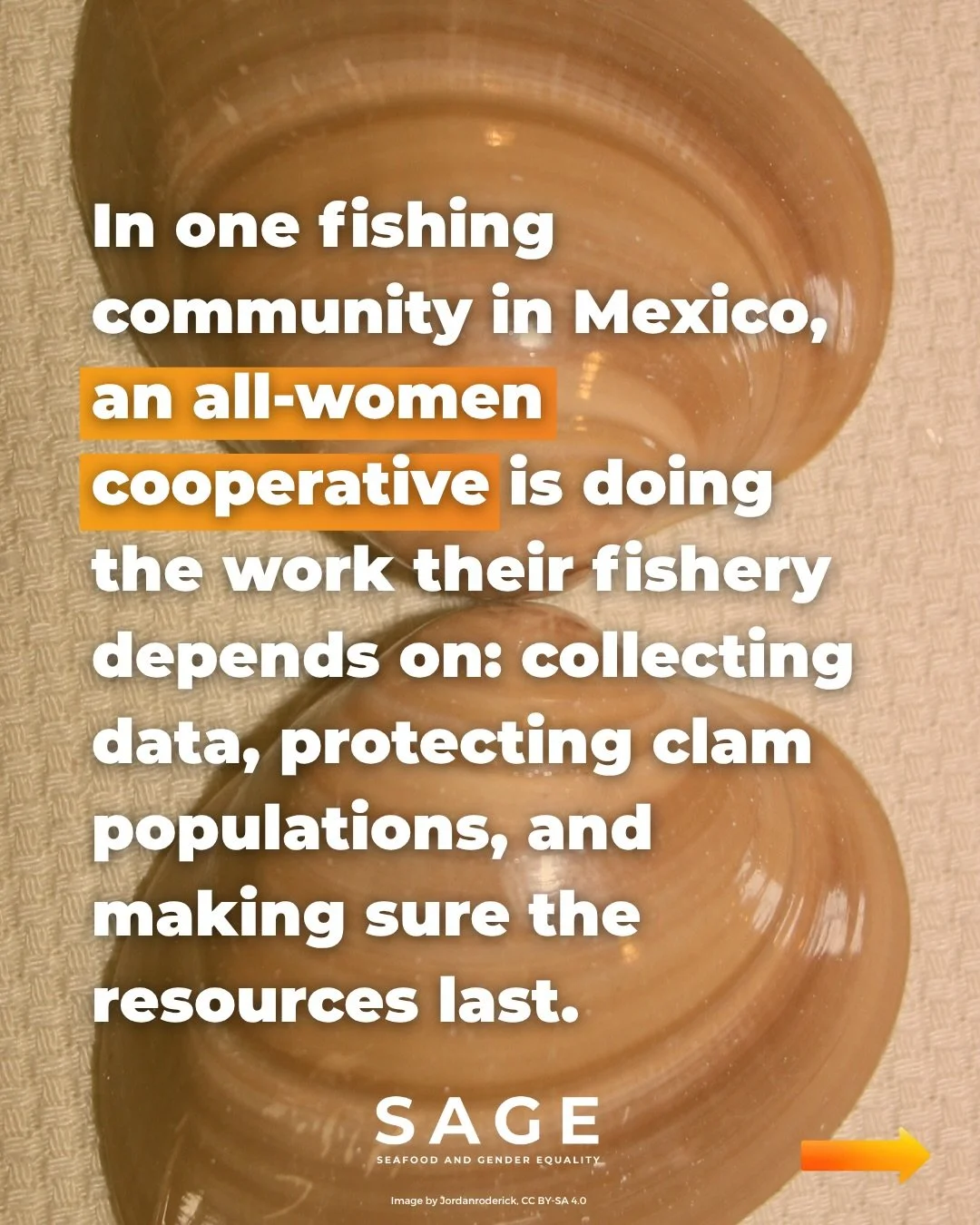 "I wanted women to have legal access to fishing permits. 

I wanted them to start getting paid for a job they were doing for free.

 It is fundamental to place a real value on the role that women play in this fishery.&rdquo;

&mdash;Yanett Castr
