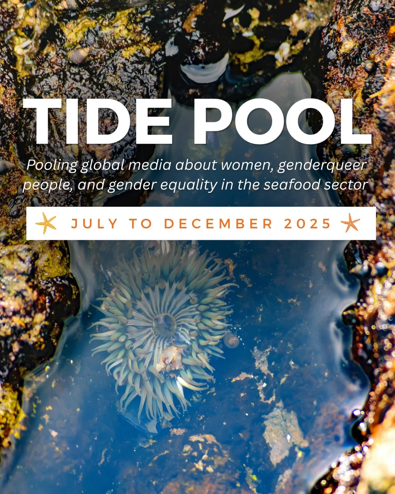 The second edition of 𝗧𝗜𝗗𝗘 𝗣𝗢𝗢𝗟 is here! 🐚

This latest collection brings together global media coverage on women, genderqueer people, and gender equality across seafood, fisheries, and the blue economy&mdash;along with deeper analysis of ho