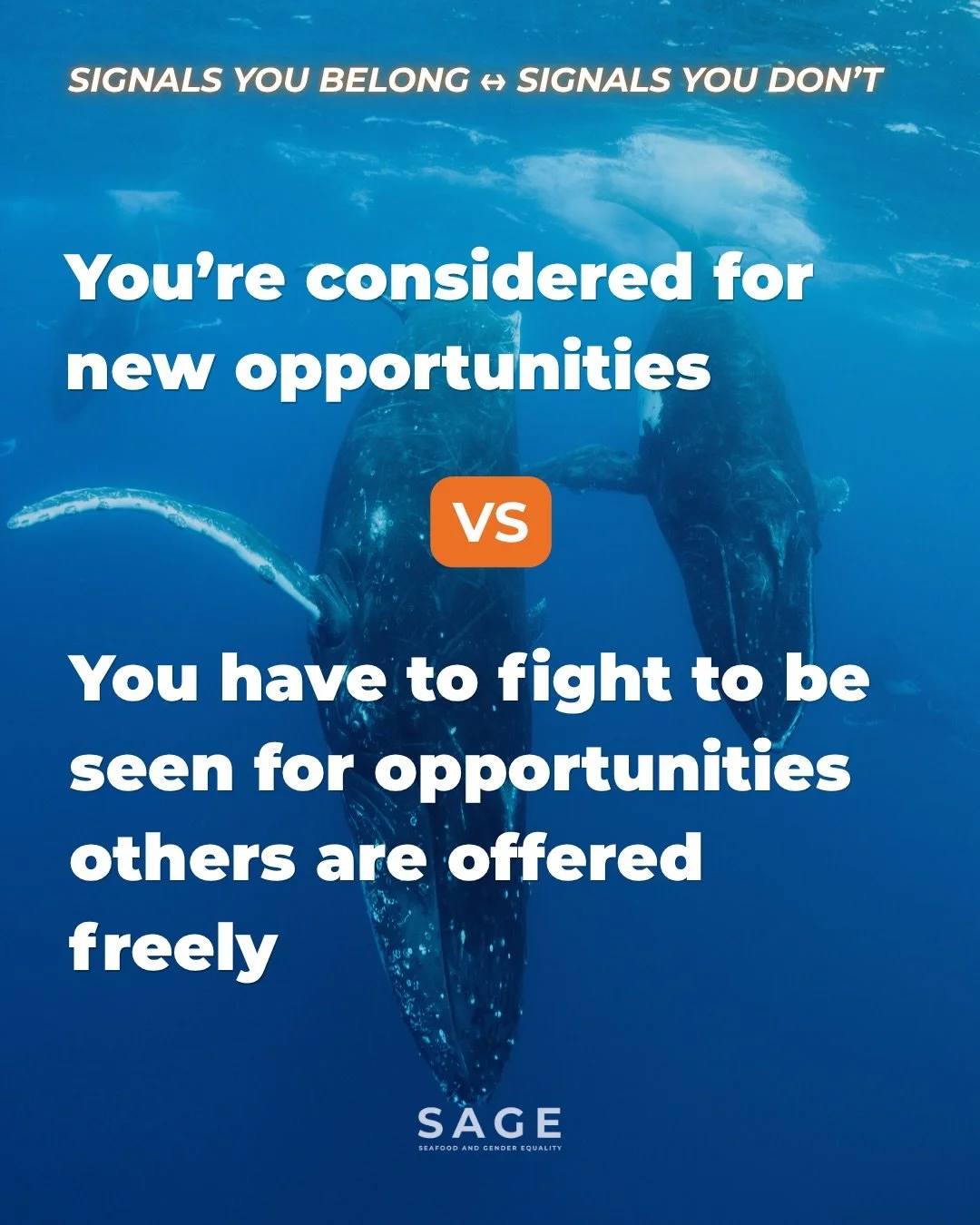 Most of us don&rsquo;t need to be told whether we belong&hellip;we can feel it.

But naming these signals can help us understand and recognize our own experiences.

And for those in leadership, it&rsquo;s a chance to look closer at what&rsquo;s being