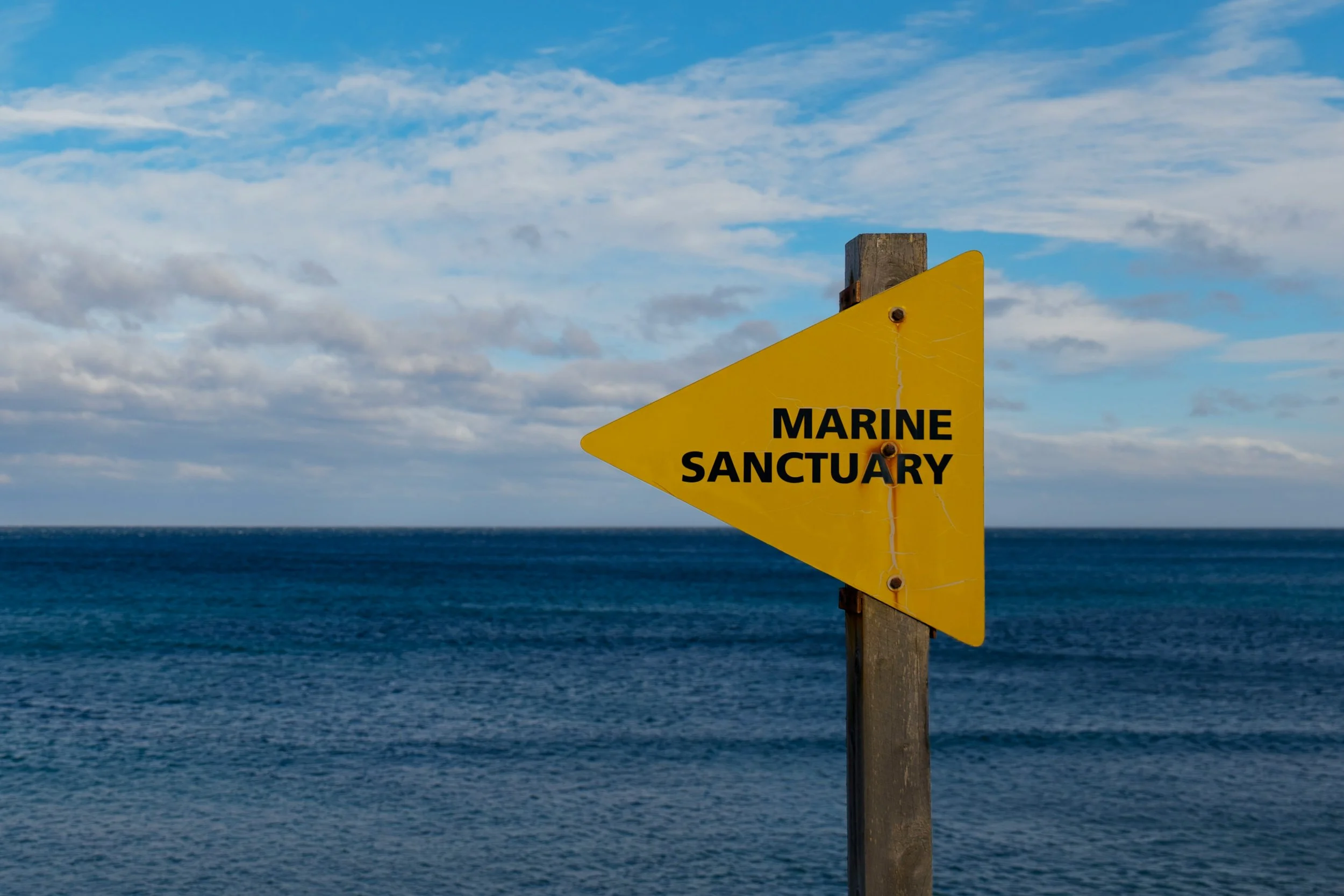 EVERYTHING IS GENDERED: MARINE PROTECTED AREAS