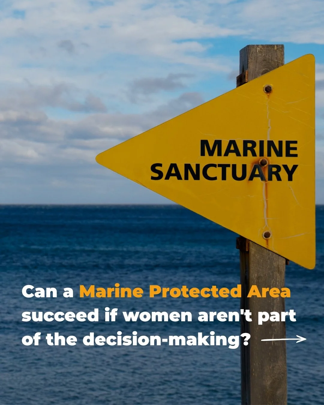This #WorldOceanDay, everyone's talking about Marine Protected Areas.

We're talking about who is often missing when decisions about them are made.

Our latest blog post explores why stronger Marine Protected Areas require more inclusive decision-mak