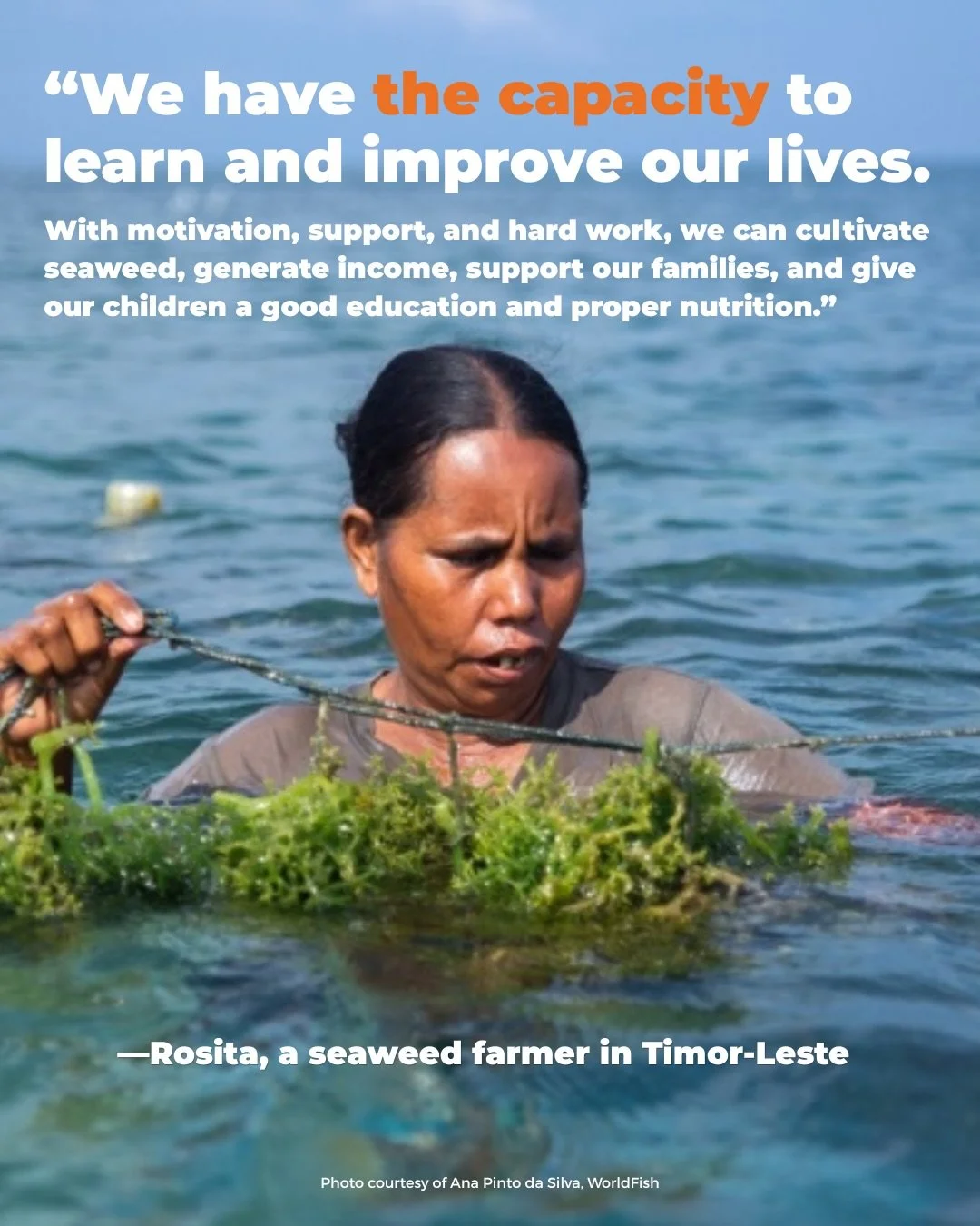📝 What's on the wish list of women working in seafood across Timor-Leste?

For Rosita, a seaweed farmer, it's ropes, nets, buckets, flashlights, small canoes, boat engines, and support installing ocean structures to secure seaweed ropes.

For Xandri