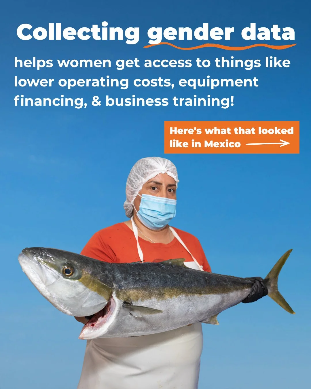 We've said it before, and we'll say it again: better gender data leads to better solutions in seafood! ⁠
⁠
📝 Last fall, a study of 528 women in Mexico's fisheries and aquaculture sector helped identify income and healthcare gaps. Most importantly, i