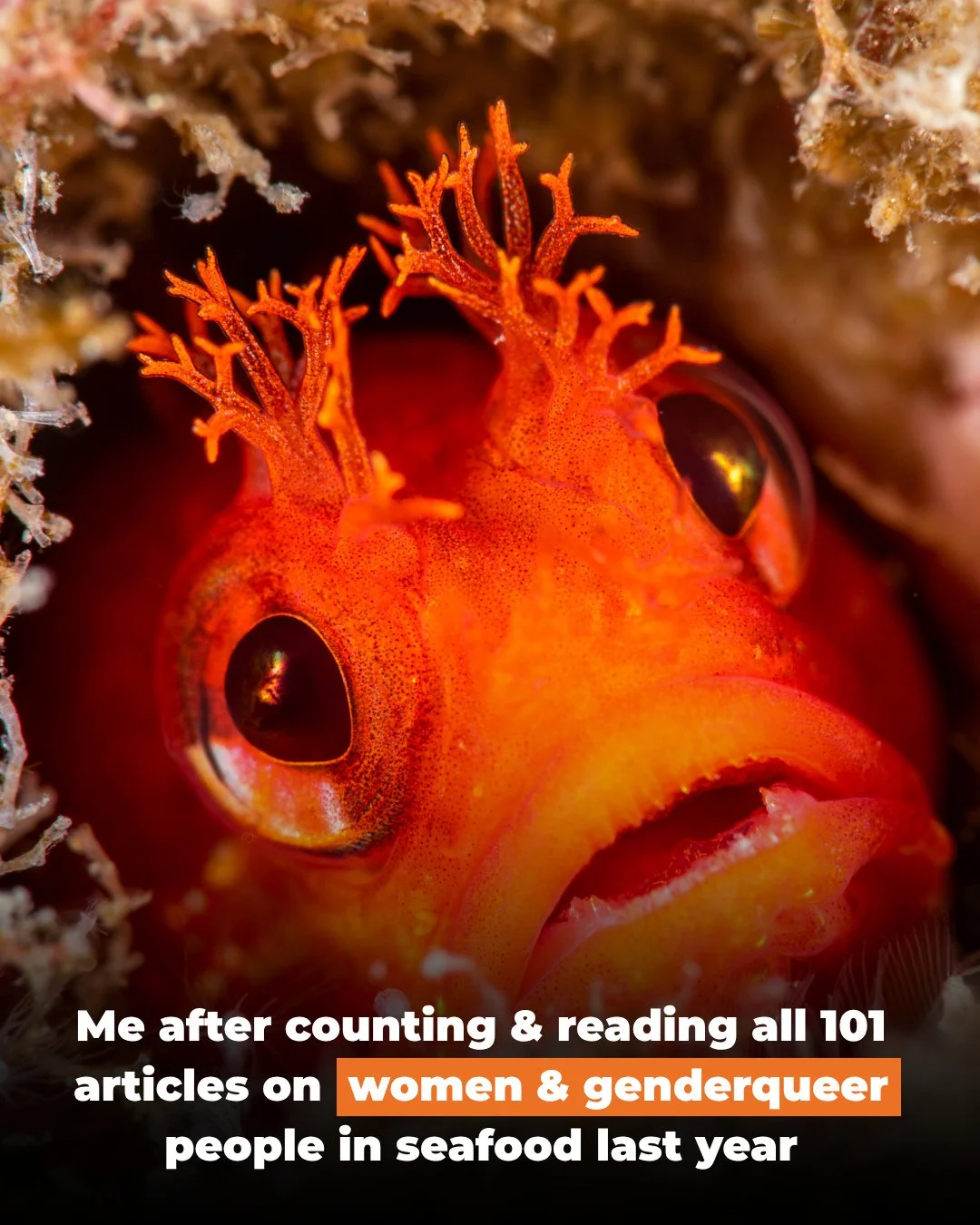 We set a Google search alert and read every single article we could find about women, genderqueer people, and gender equality in seafood during the 1st and 2nd halves of 2025. ⁠
⁠
The result? 🔍⁠
⁠
January - June gave us 70 articles from 65 countries