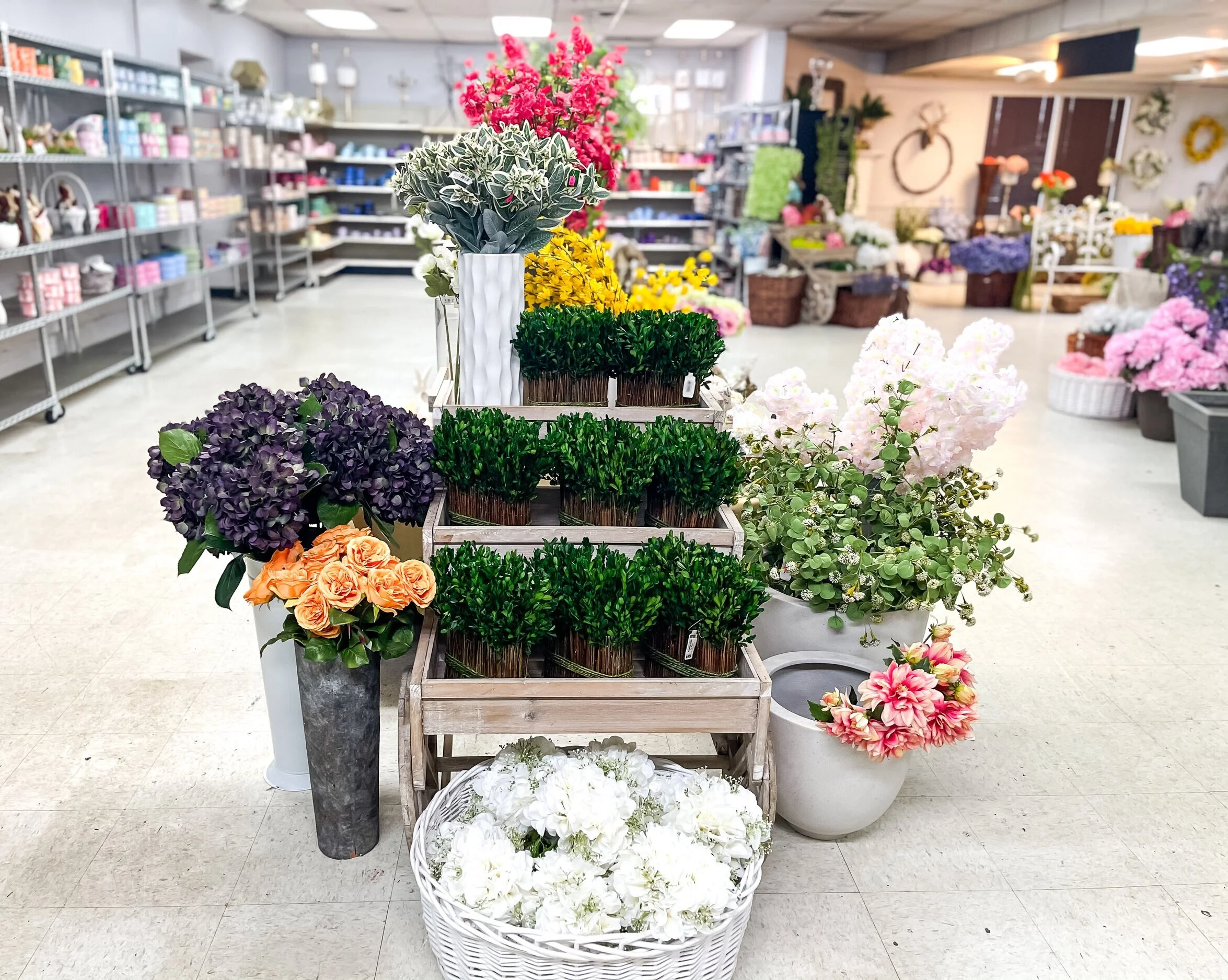 New Arrivals — Davis Wholesale Florist