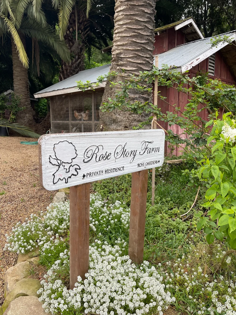 Rose Story Farm