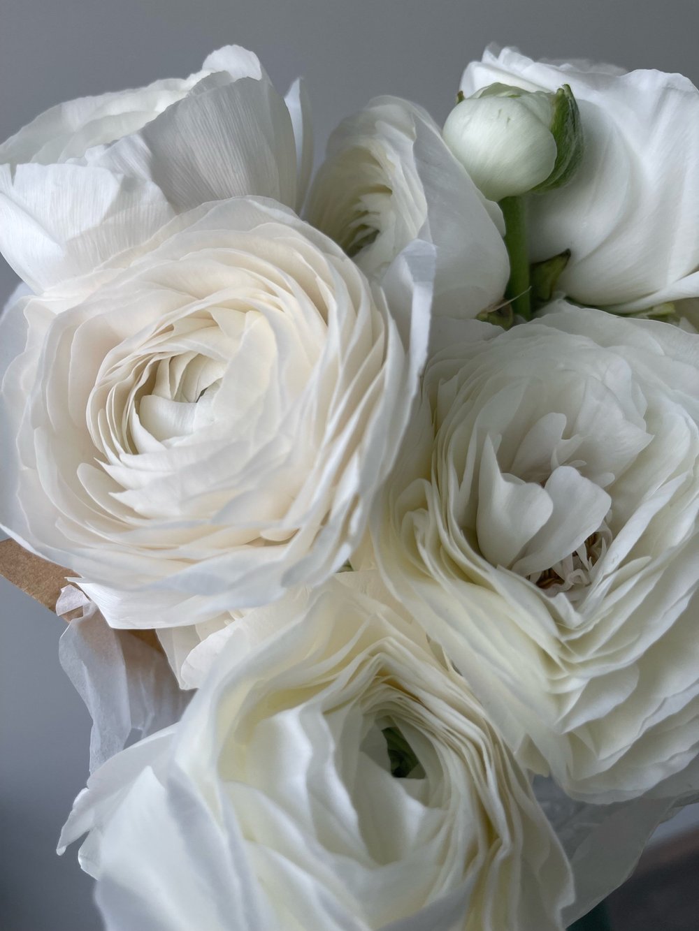 Hanoi White Ranunculus
