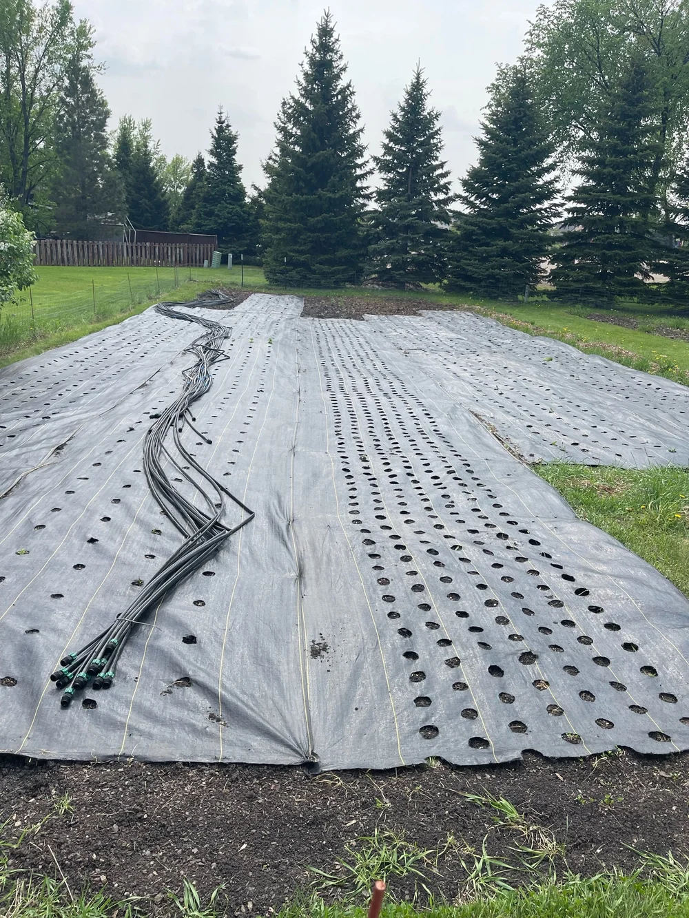 Flower Farm - Landscape Fabric