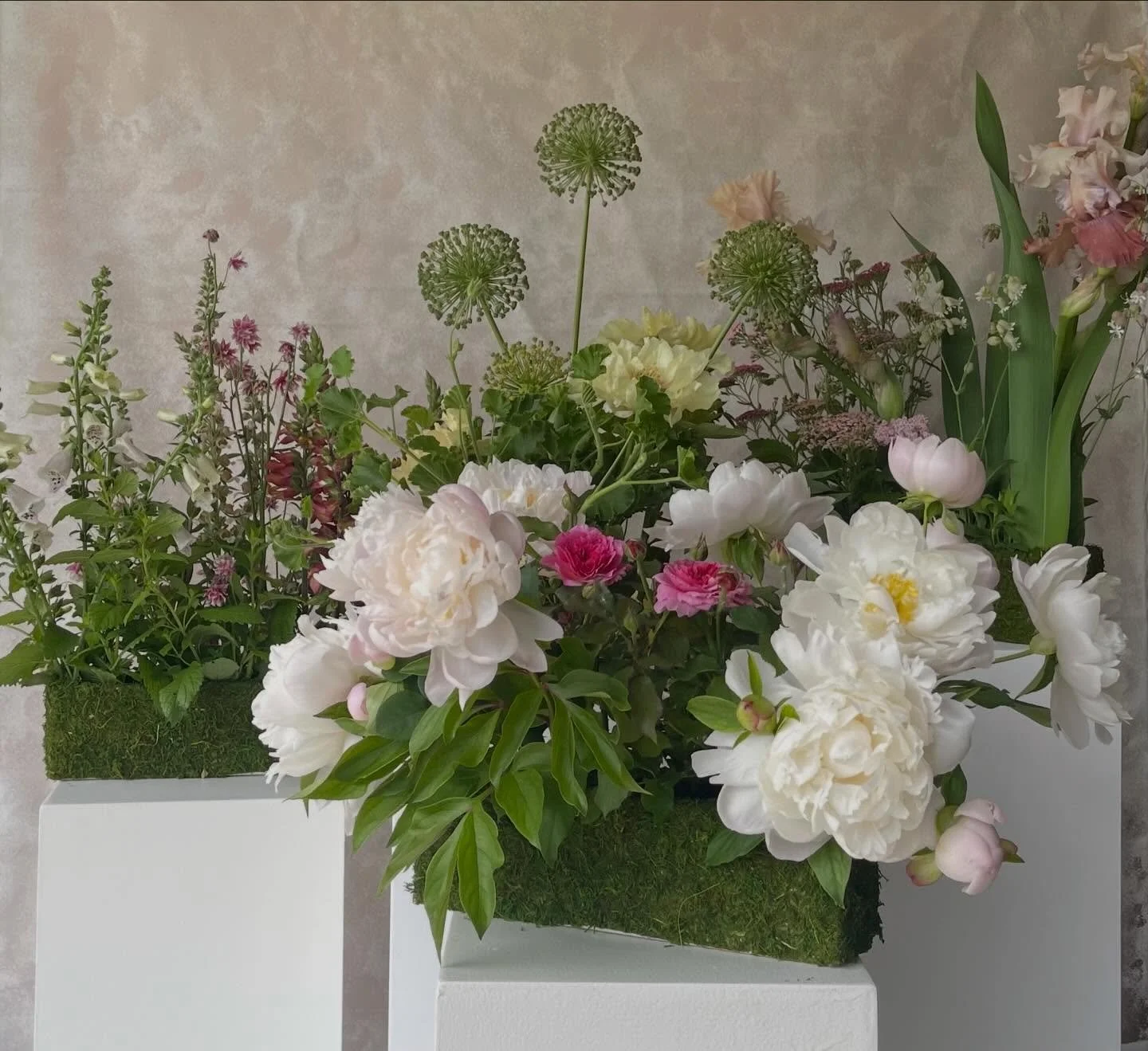 Embracing the winter while dreaming of our spring projects and gardens.

These designs for 2025 Midwestern @rourkemuseum 
Flowers from our gardens