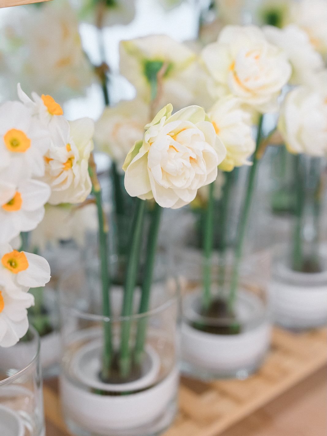 Look back at Gallery in Bloom 2024 @rourkemuseum 

Photography @gabrielandcarissa 

This year Gallery in Bloom is set for our 4th Season on March 14, 2026 1:30-3:30 @rourkemuseum