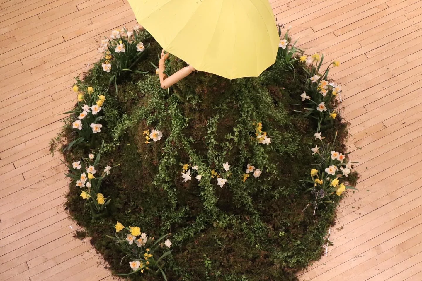 Gallery in Bloom Season 4 - Installation 1
When you feel into the flowers and design, the possibilities are endless💚

Photography my daughter Lucy
Flowers @mayeshlax - couldn&rsquo;t do any of this without my brilliant (and very patient wholesaler) 