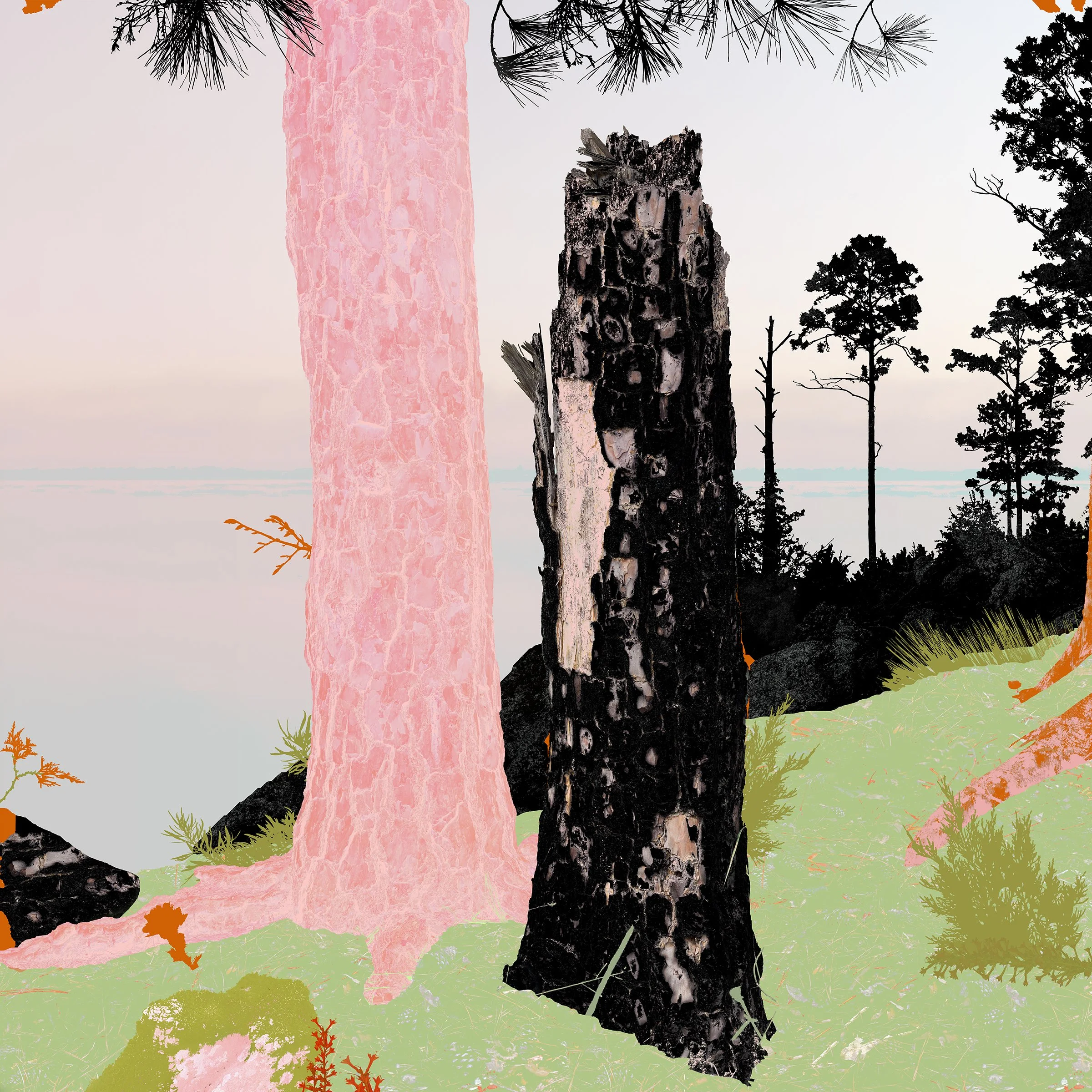  
 Leigh Merrill.   Lost Pine, Double Pine  
Candela Gallery, Richmond, Virginia  
January 9, 2026 - February 21, 2026 
 