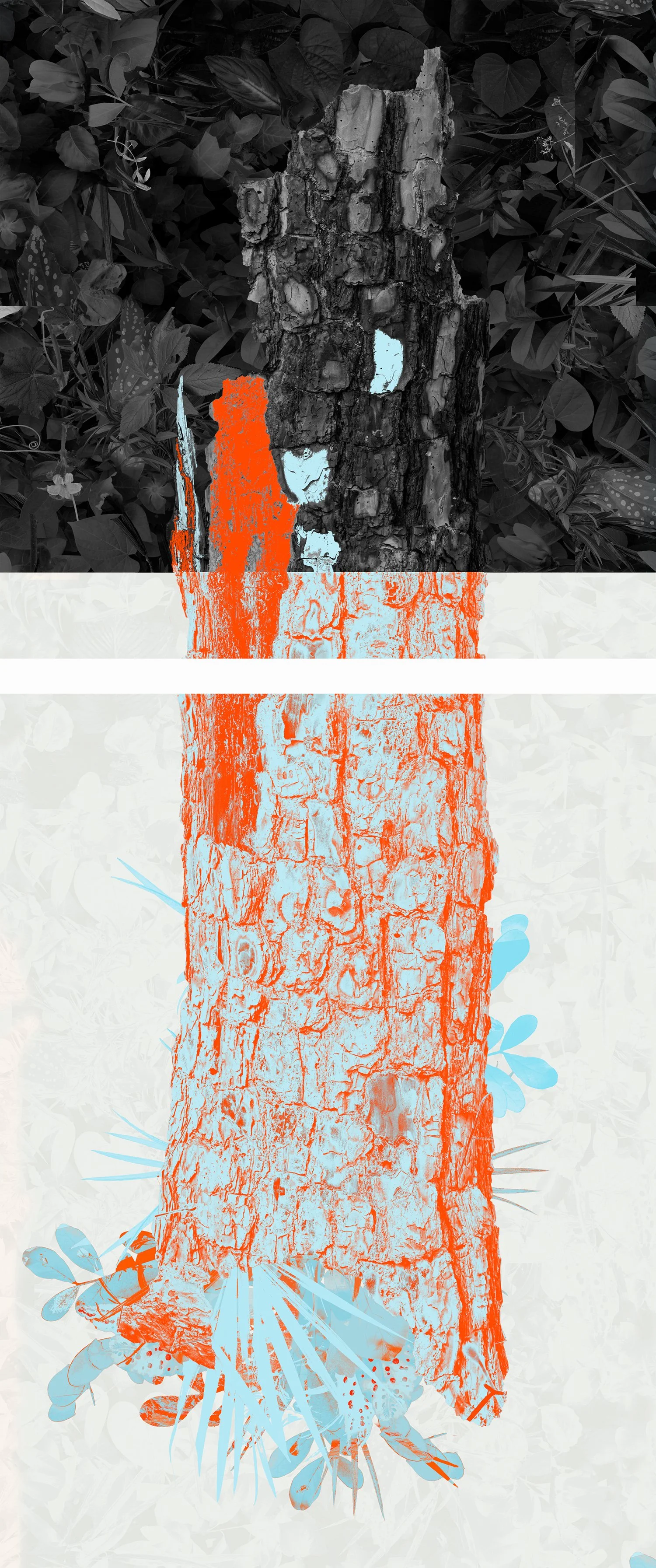 A tree trunk with textured bark, surrounded by leaves and foliage in black and white, with some parts highlighted in orange and light blue.