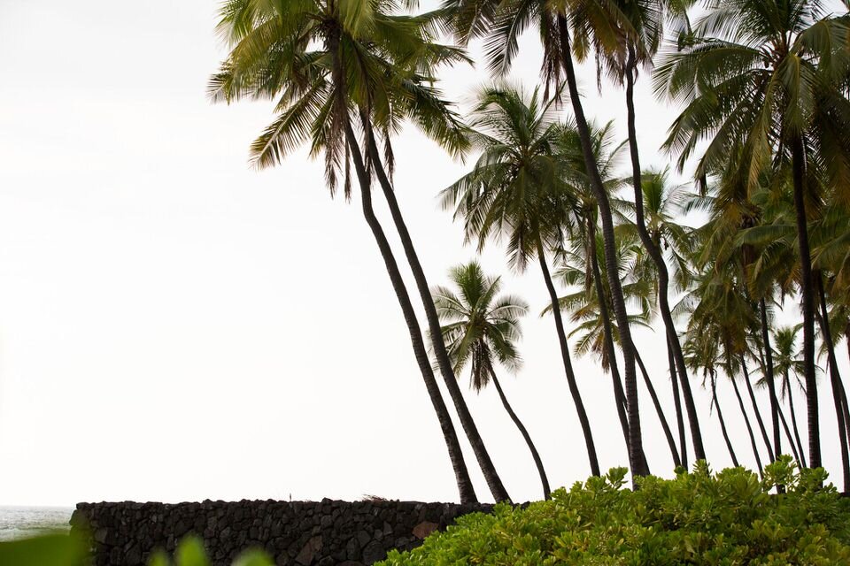 Destination_Wedding_Planner_Hawaii (27).jpg