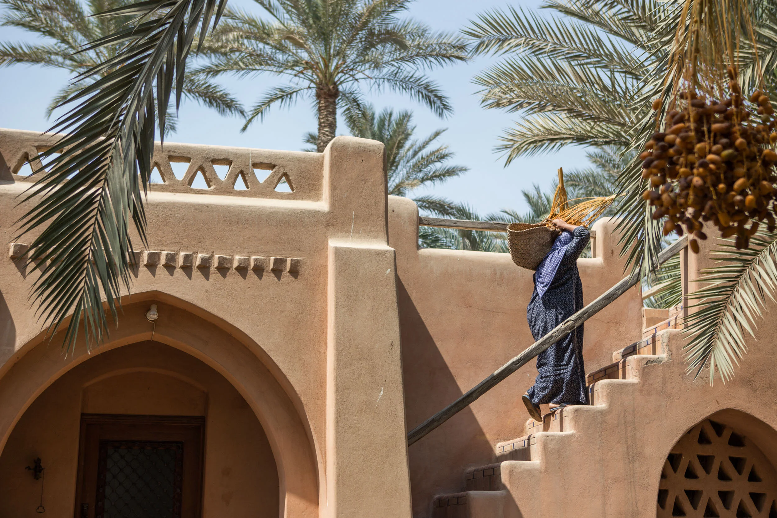 Baskets of cut palm fronds are carried to the rooftop.