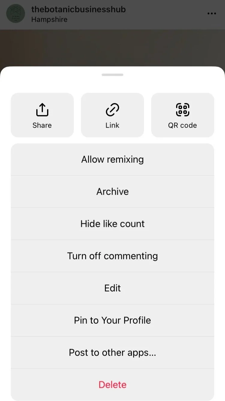 Instaram grid screenshot showing how to delete or achieve a post