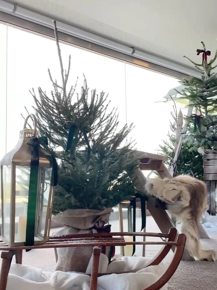 A super brief snapshot of my 2025 freelancing year with incredible clients that I&rsquo;ve had the pleasure of working alongside. Amazing opportunities to work with returning clients, new and international teams too. 

Counties worked in in 2025: Ham