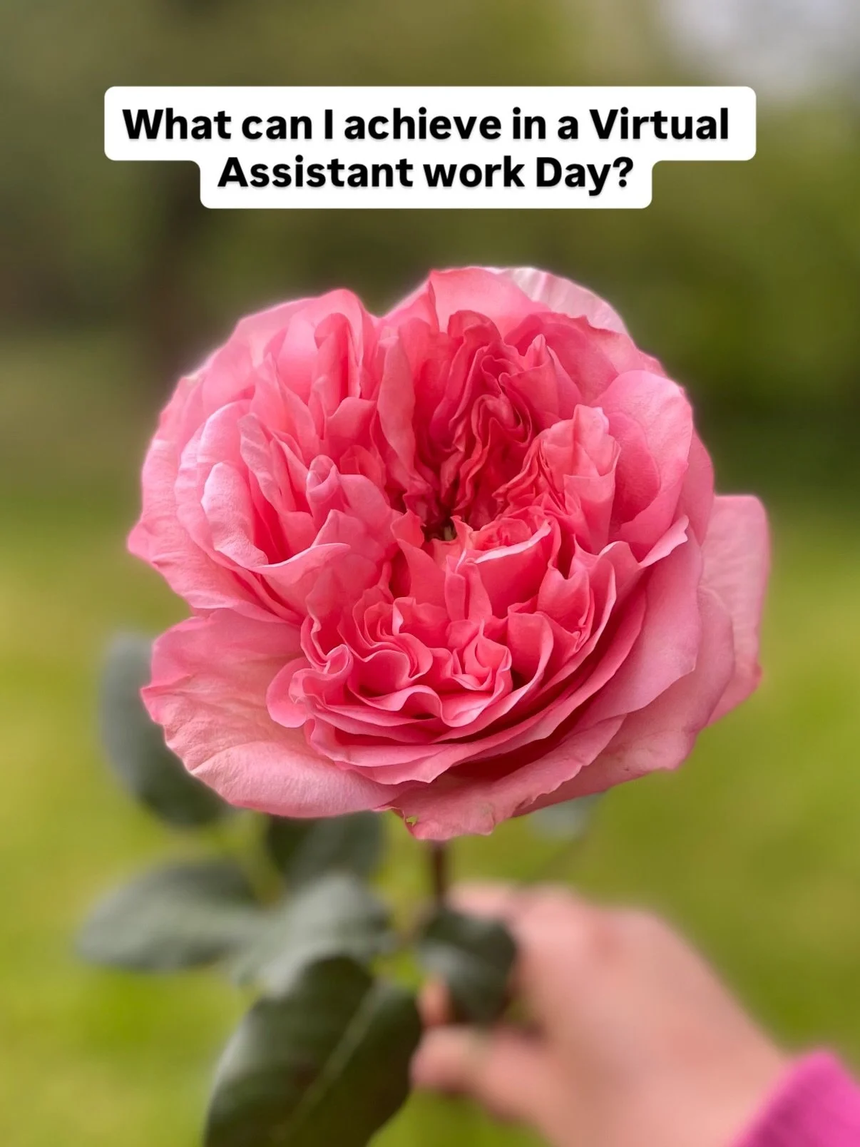 This is what breathing room looks like;

Not just tasks ticked off &mdash;
but decisions you don&rsquo;t have to make, energy or extra hours you don&rsquo;t have to find and knowledge you don&rsquo;t have to learn. 

The things that would&rsquo;ve sa