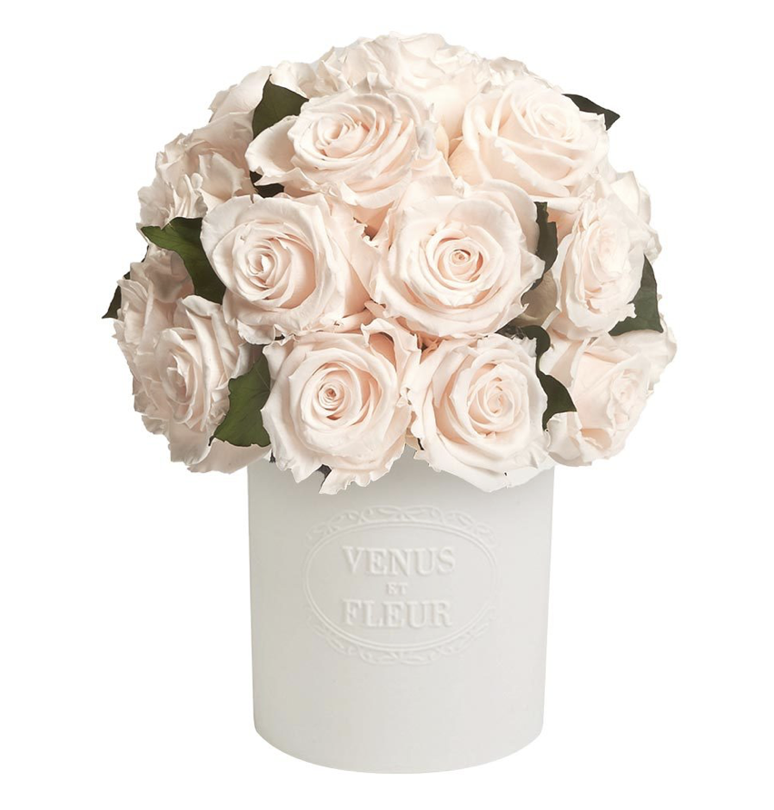 Screen Shot 2021-04-05 at 2.09.22 PM.png