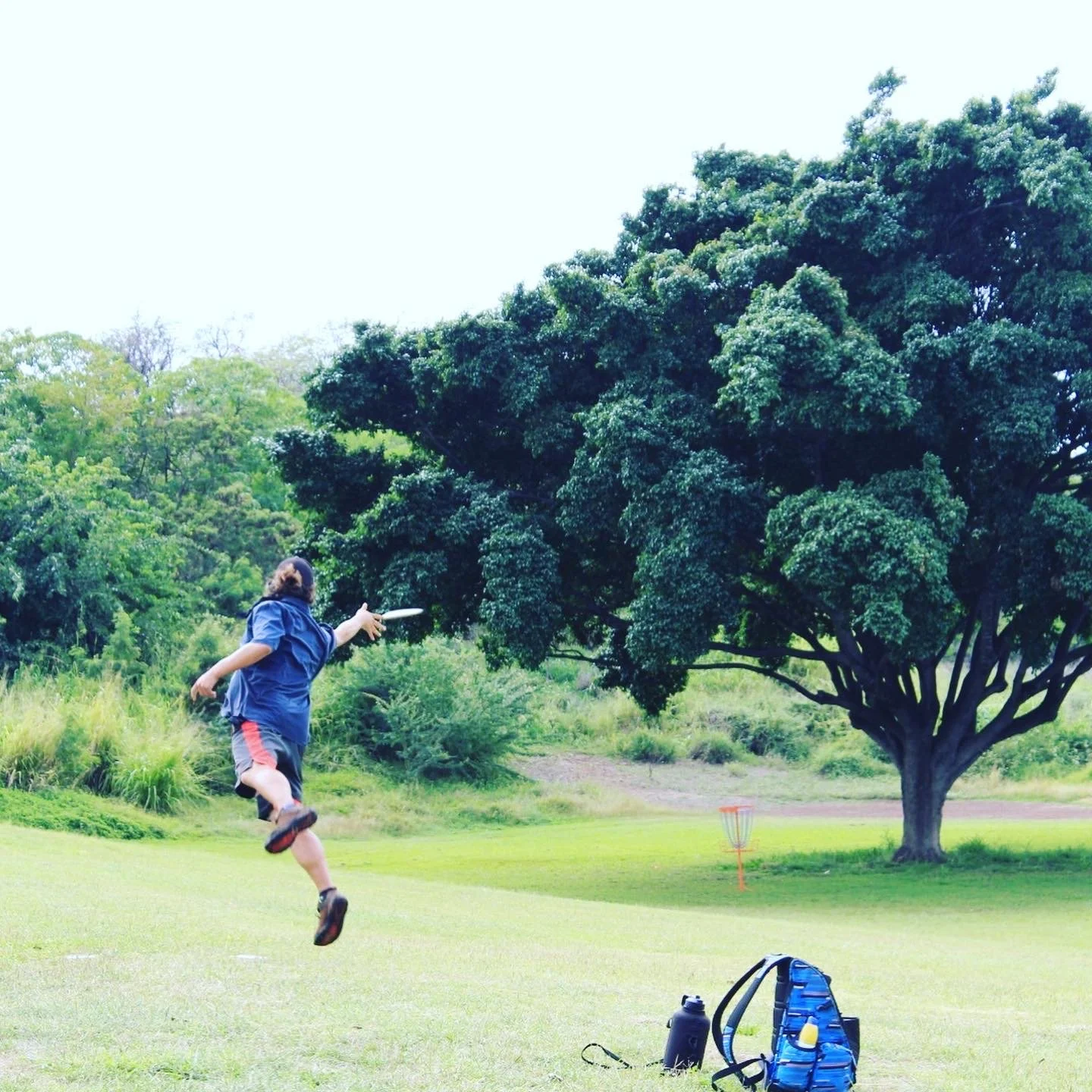 Oahu Disc Golf League Membership — Oahu Disc Golf