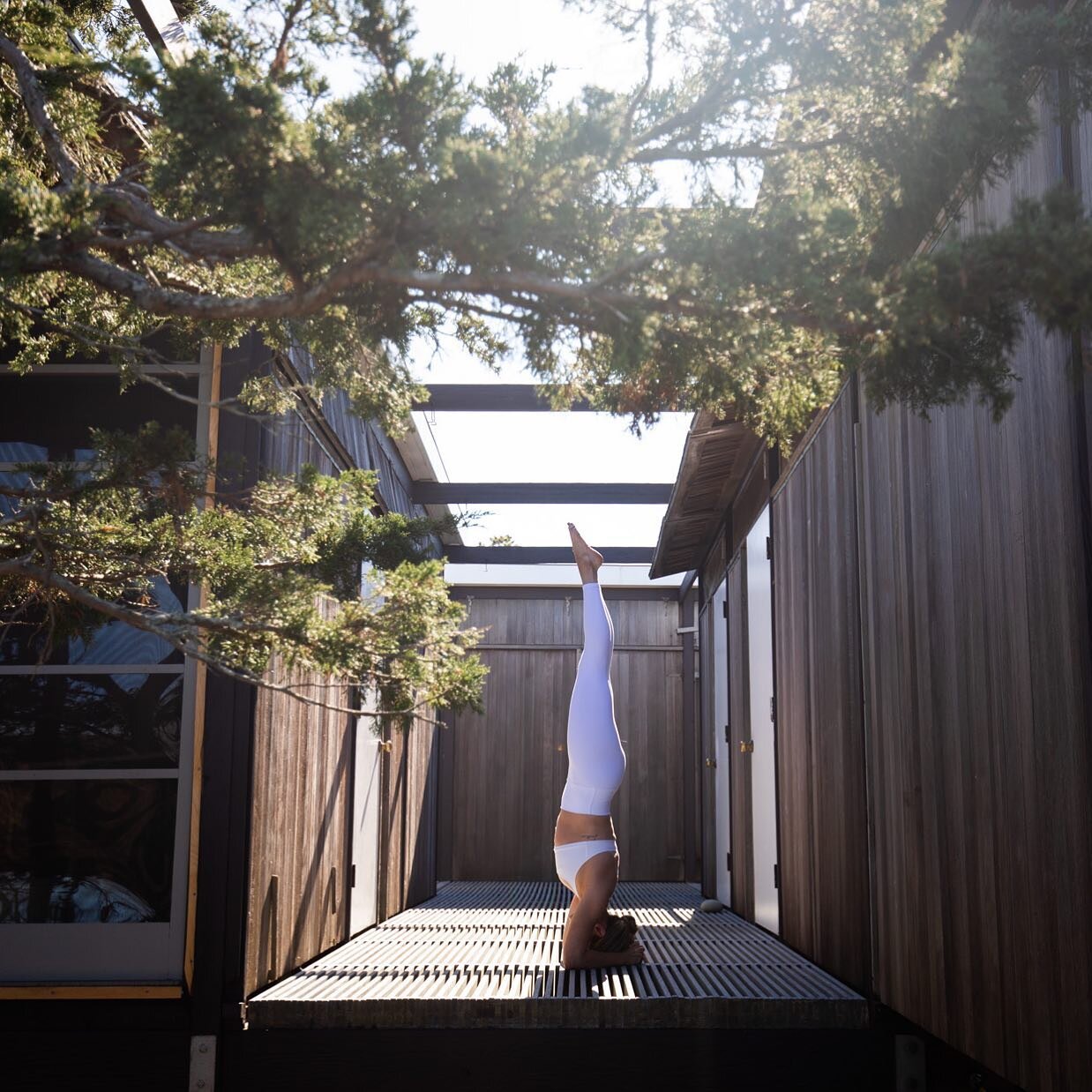 / not knowing /﻿ ﻿The beloved yoga teacher Maty Ezraty said &ldquo;every student is a spirit - a human being with the potential to wake up.&rdquo; And to riff on a thought from Jonathan Foust &amp; echoed through Eastern philosophies, waking up to li