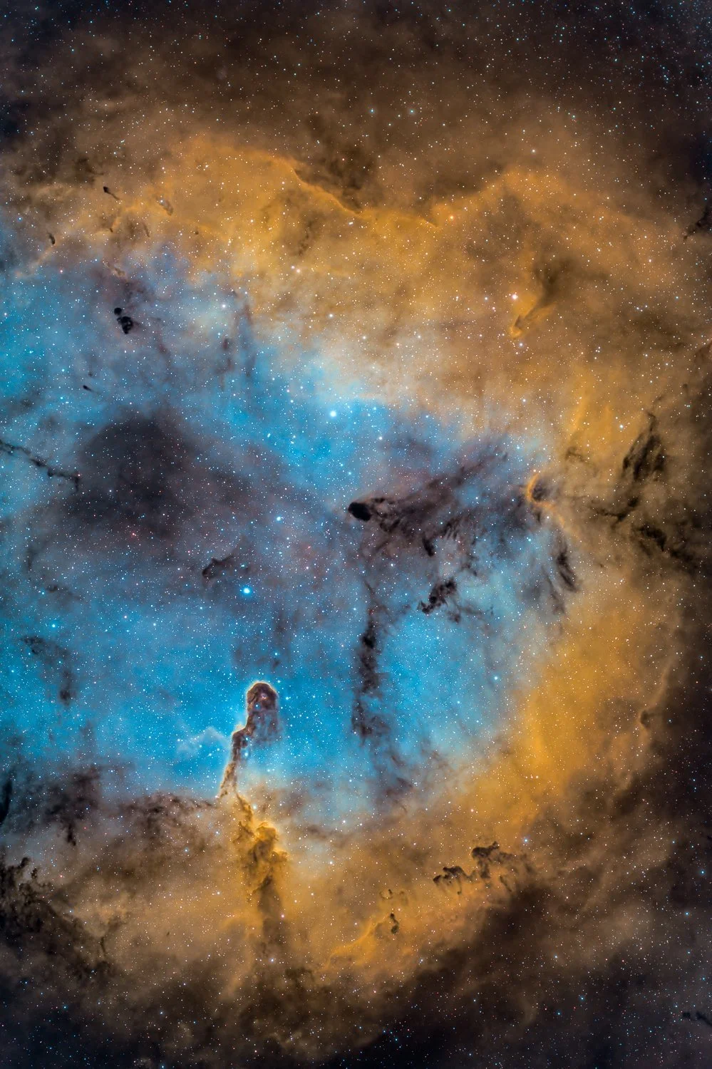 Elephant+Trunk+Nebula+2022.jpg