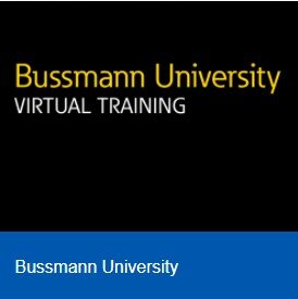 Bussmann University