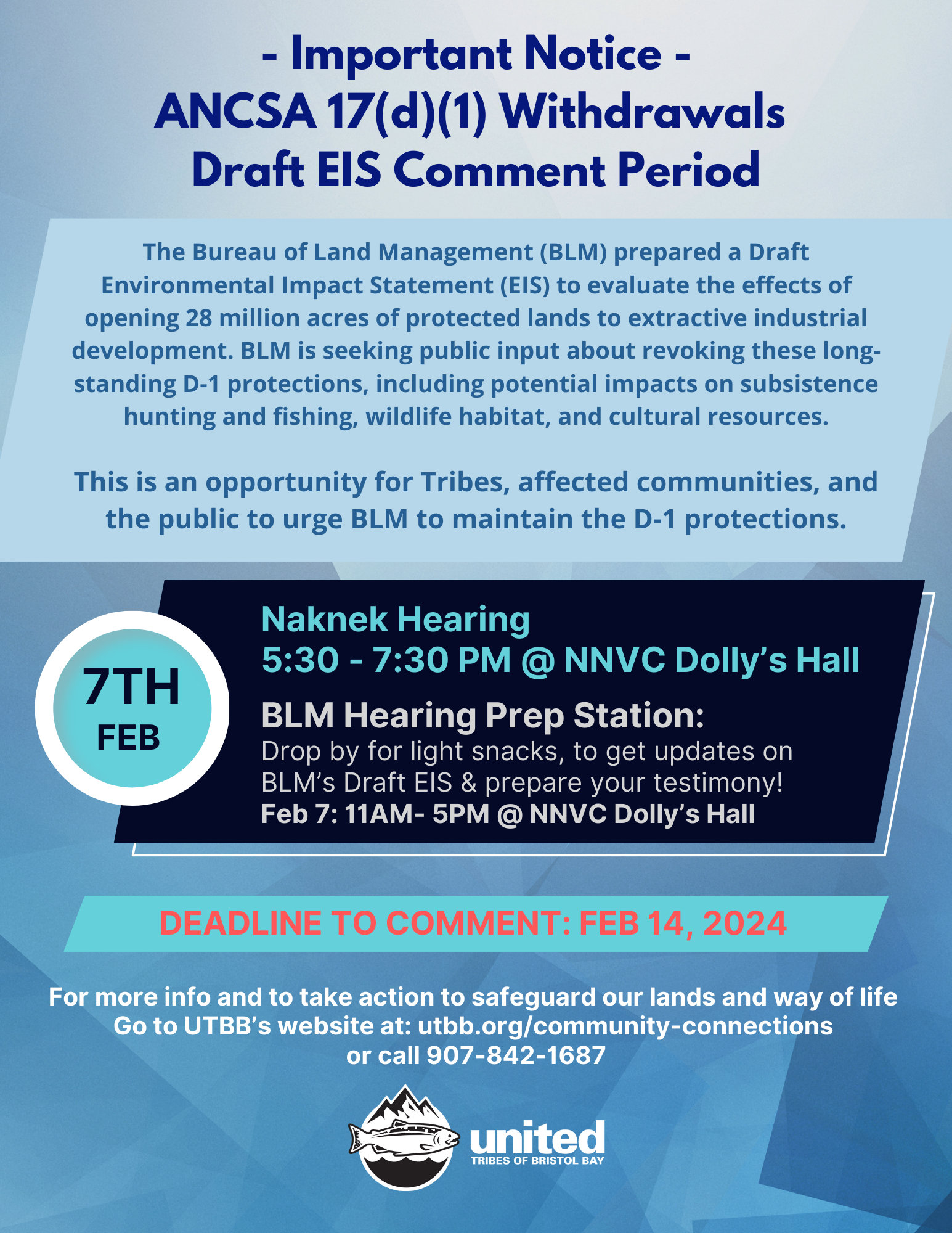 ANCSA D-1 Protections Comment Prep - Naknek