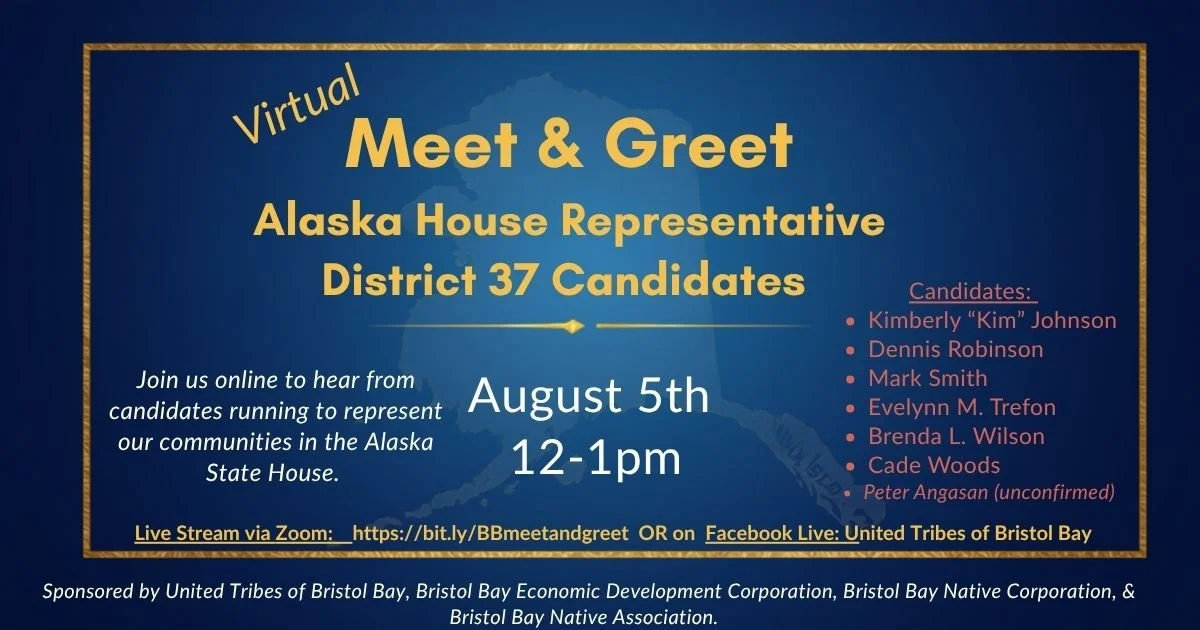 Virtual House District 37 Candidate Meet & Greet