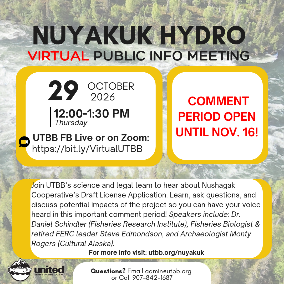 Virtual Nuyakuk Hydro Informational Meeting