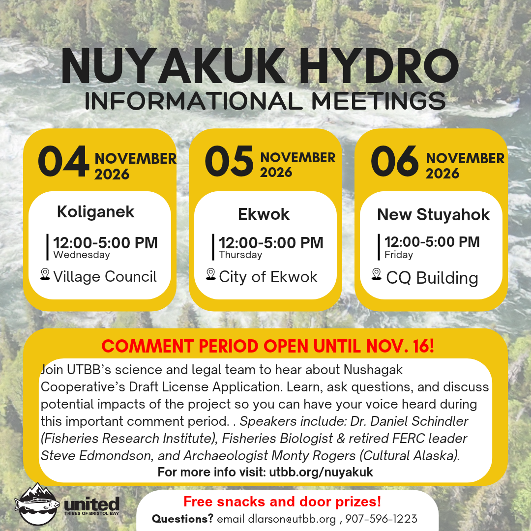 Koliganek Nuyakuk Hydro Informational Meeting