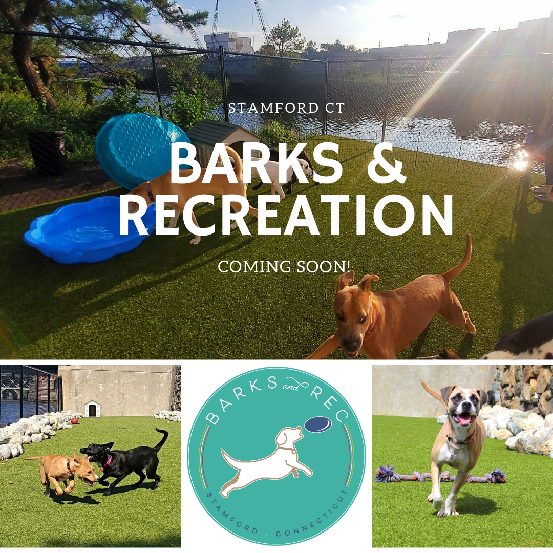 lucky dog barks and recreation