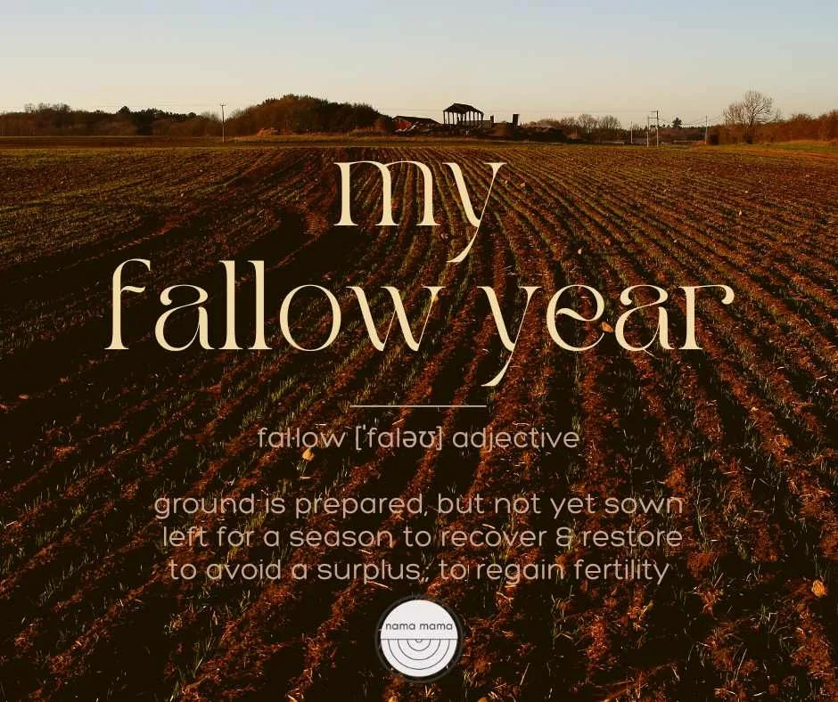 my fallow year