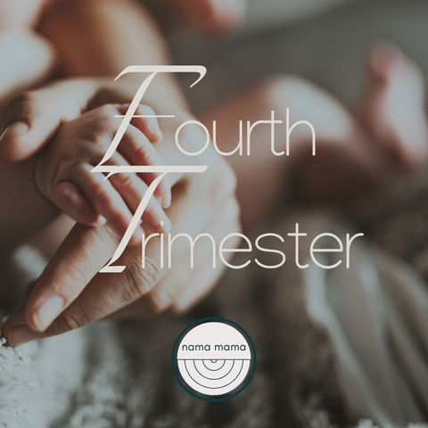 fourth trimester womb journey