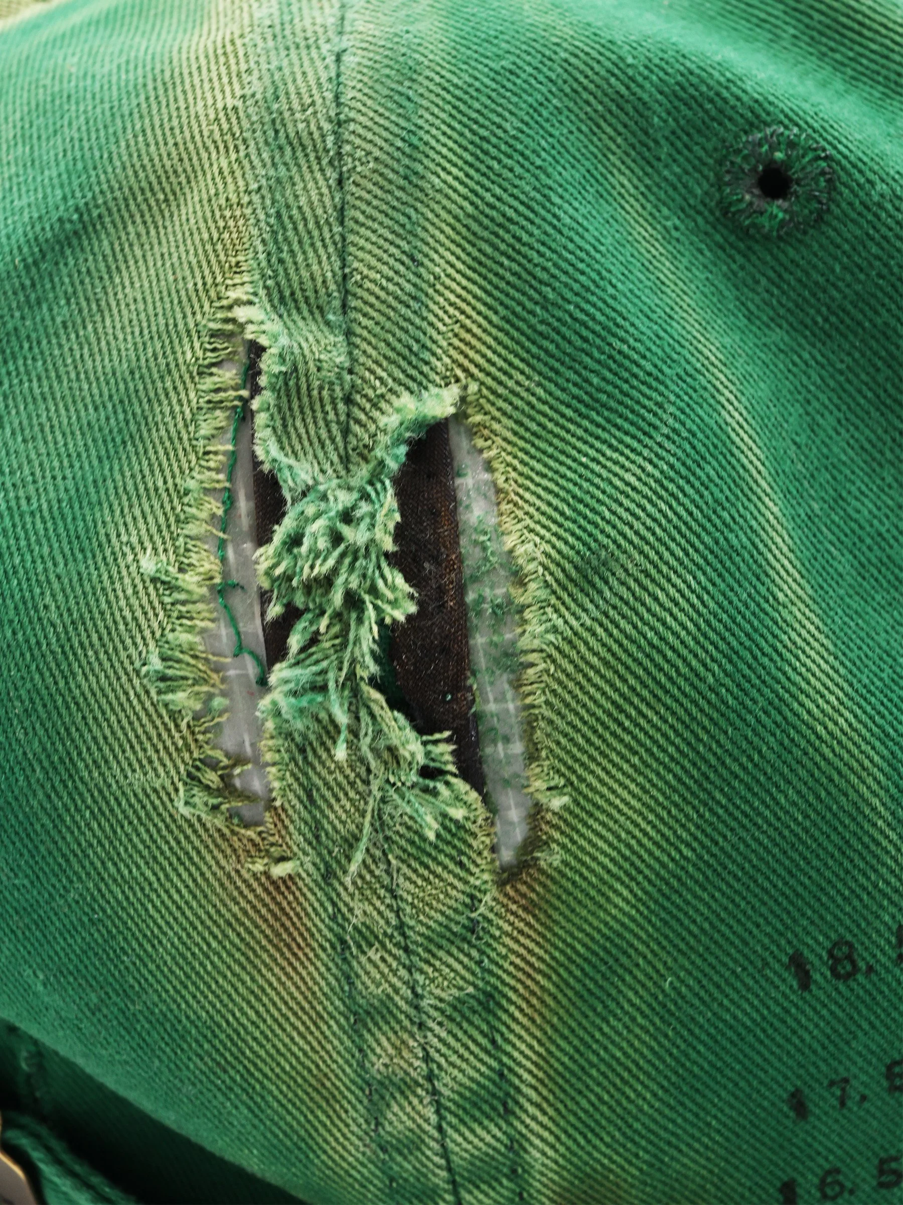 Detail 2_Is this All I Ever Dreamed Of.jpg