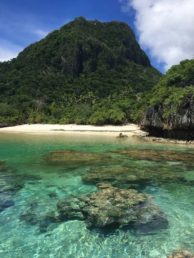 Vatuvara Island: A Haven for Threatened Species
