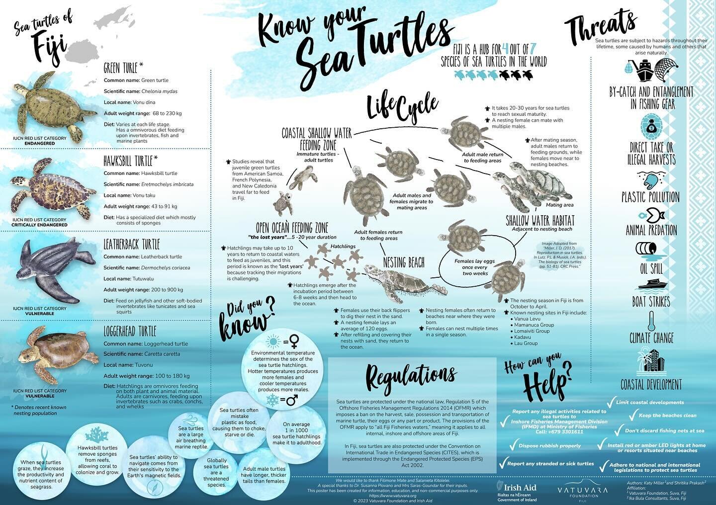 In our final phase of the project, we have designed a field guide to assist the field team in leading turtle programs for resort guests. We have also created an educational poster called &ldquo;know your sea turtles&rdquo;. 

The poster highlights th