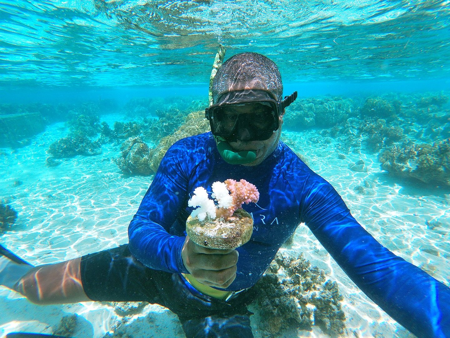We give back to our ocean by planting coral for a brighter and more sustainable future. We&rsquo;re thrilled to see vibrant reefs and thriving marine life surrounding the island. Join us in preserving this underwater paradise!

#VatuvaraResort #Touri