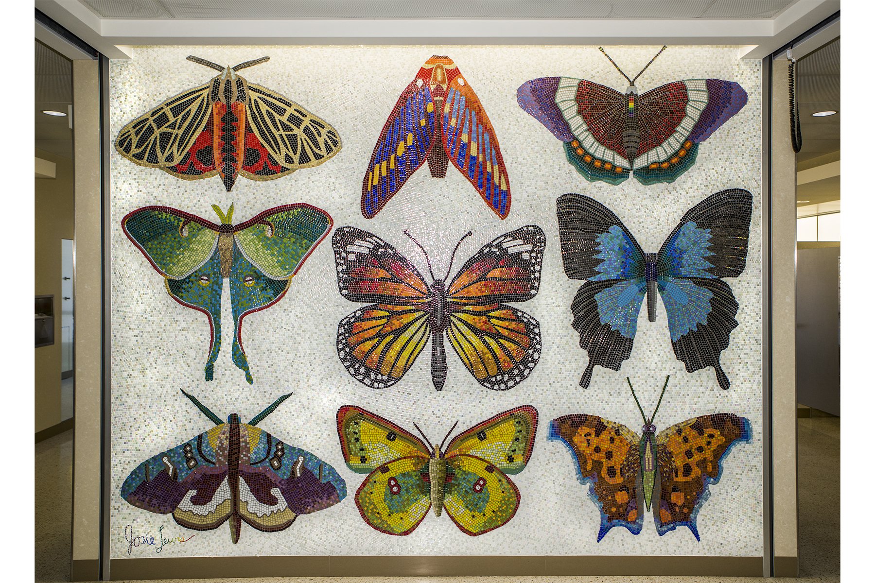 Josie Lewis.Minnesota Lepidoptera.Glass.1F4.jpg