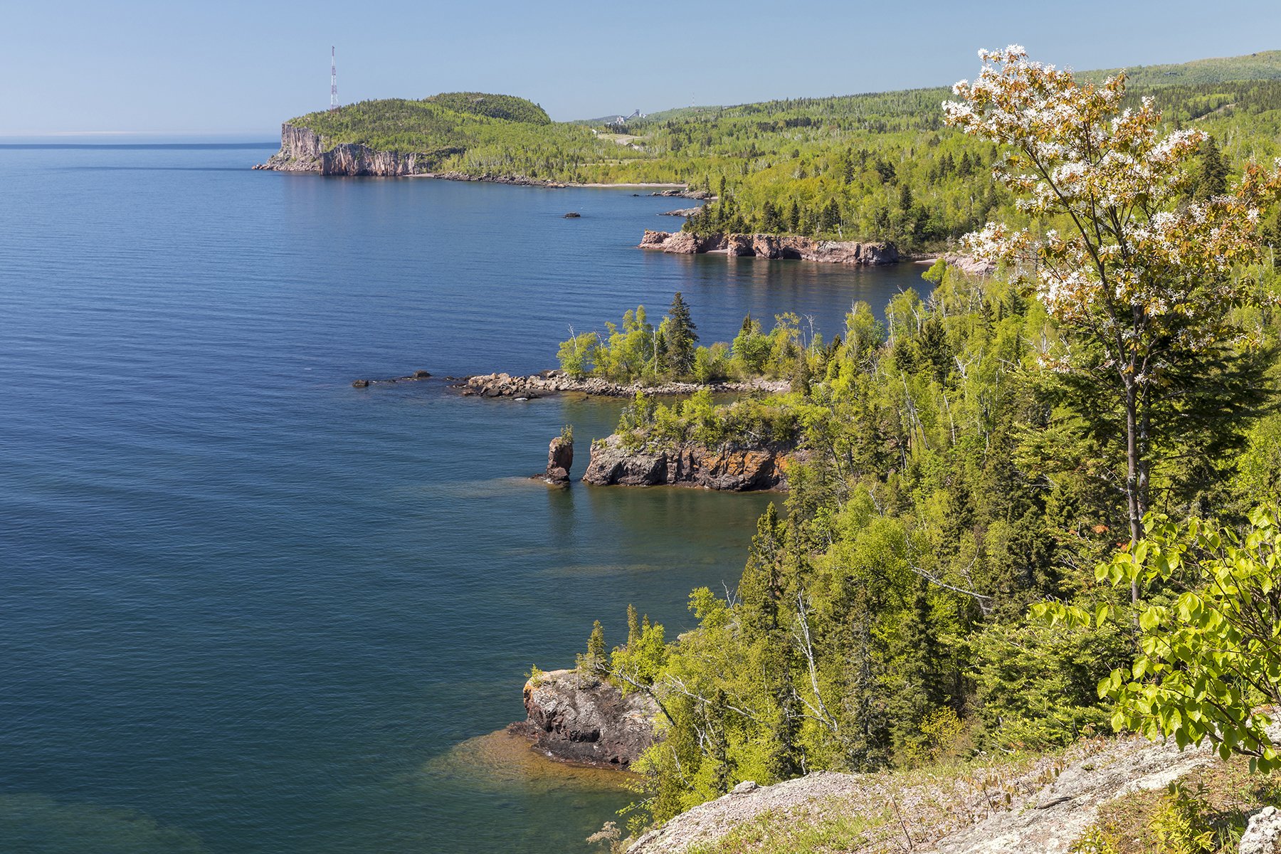 3-LHB Lake Superior Coastal Forest SIZED.jpg