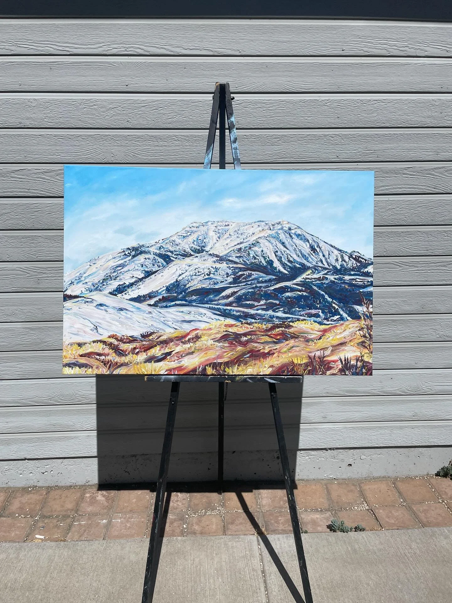 Live it up ☀️

Mount Rose - commission for Jess - birthday gift for her husband! ⛷️