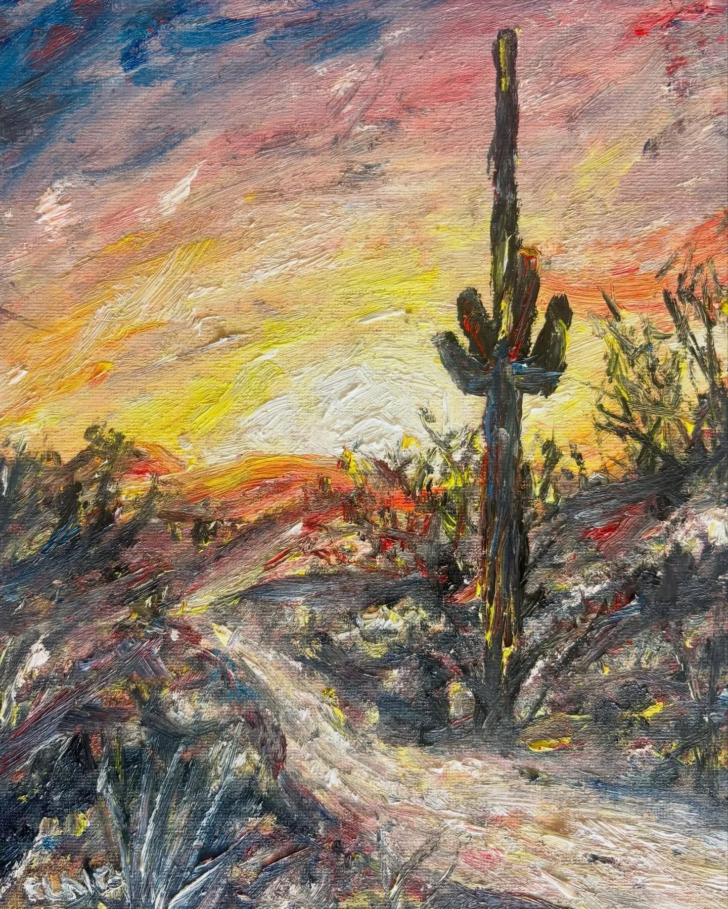 The 6 podium awards for the 2026 Arizona Monster 300 Mile Endurance Run! Original oil paintings of scenes from the course, from the start just outside of Pheonix all the way through the Sonoran desert to the finish line at the border.

The top 3 male