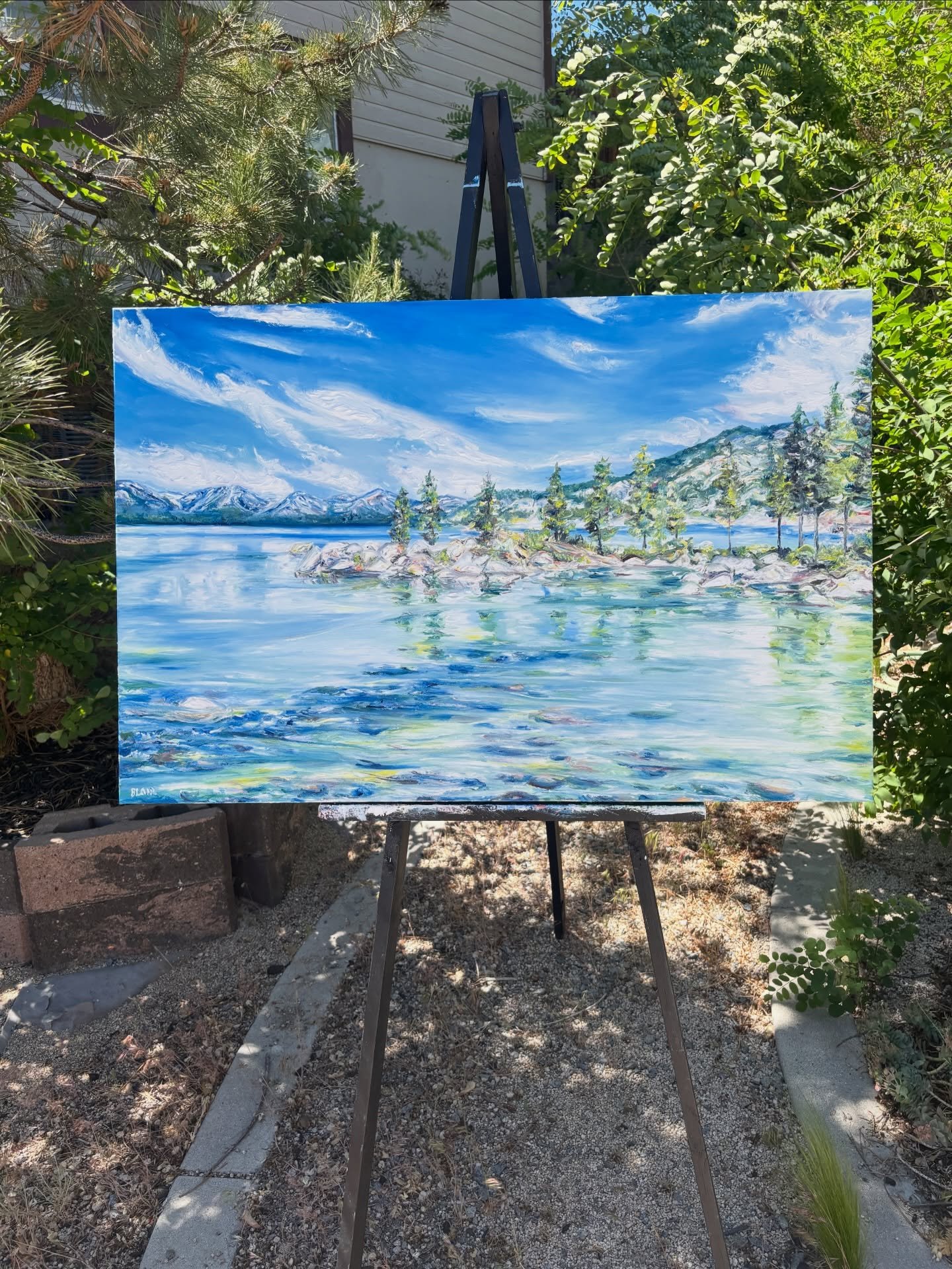 Hello 2026 Tahoe 200 Mile Endurance Run! 🐻🏔️☀️

🌹Come by the Heavenly Stagecoach Lodge (race HQ, the start and finish: 375 Quaking Aspen Ln, Stateline NV) from June 11th - June 16th to buy a raffle ticket for a chance to win this year&rsquo;s 24x3