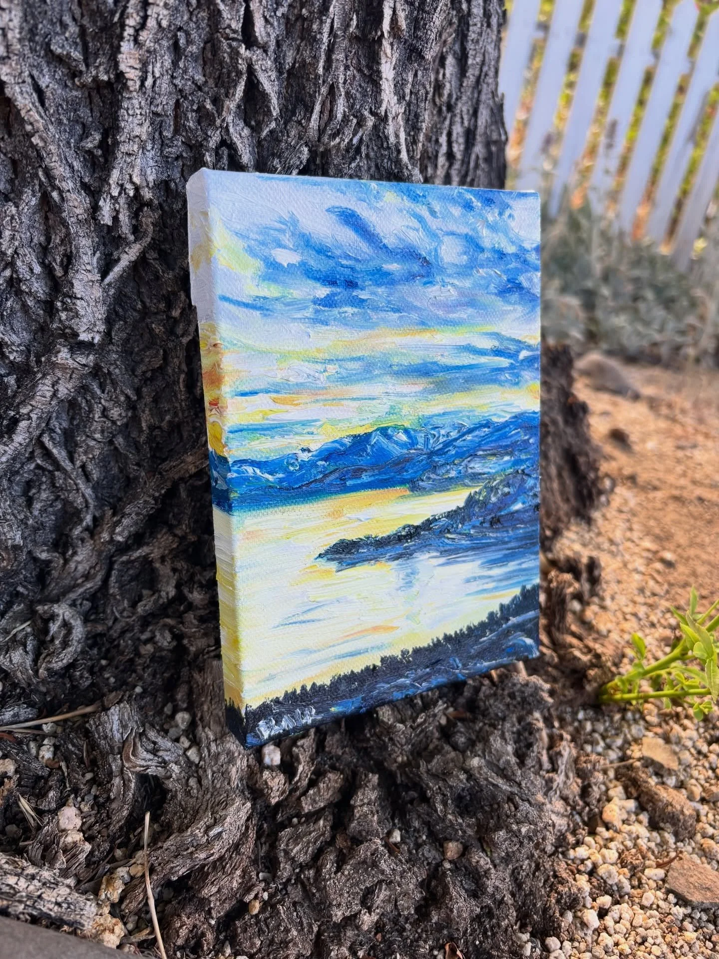 10 more reasons we are excited for the Tahoe 200.

Age Group Winner Awards!

Original 5x7 oil paintings on stretched canvas.

Thank you @destinationtrailraces