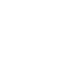 Tekion